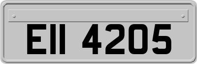 EII4205