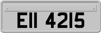 EII4215