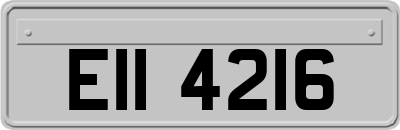 EII4216