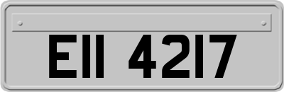 EII4217