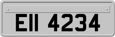 EII4234