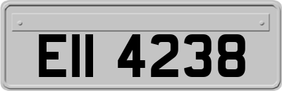 EII4238
