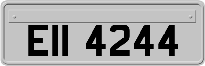 EII4244