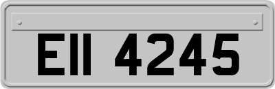 EII4245