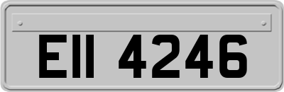 EII4246