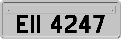 EII4247