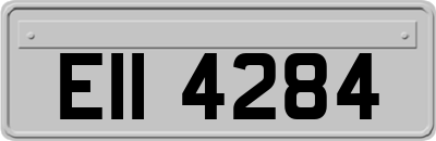 EII4284