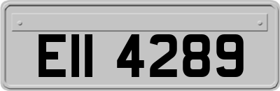 EII4289