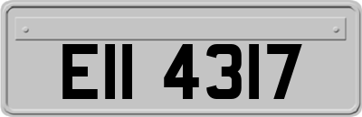 EII4317
