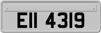 EII4319