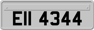 EII4344