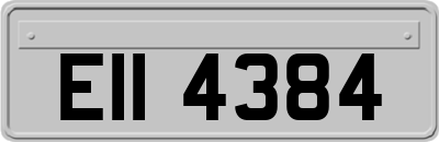 EII4384