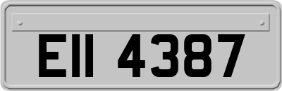 EII4387