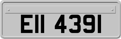 EII4391