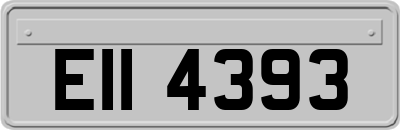 EII4393