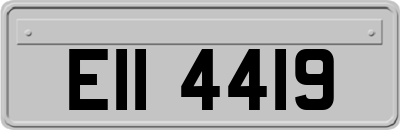 EII4419