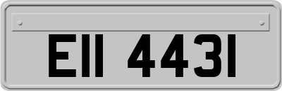 EII4431