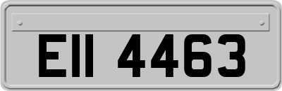 EII4463