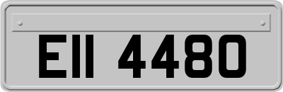 EII4480