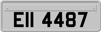 EII4487