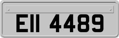 EII4489