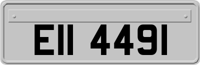 EII4491