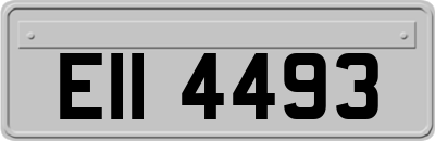EII4493