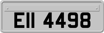 EII4498