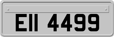 EII4499