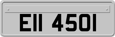 EII4501