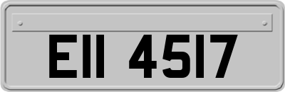 EII4517