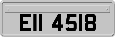 EII4518