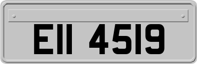 EII4519