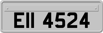 EII4524
