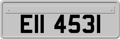 EII4531