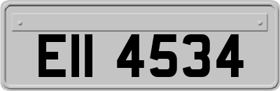 EII4534