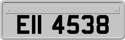 EII4538
