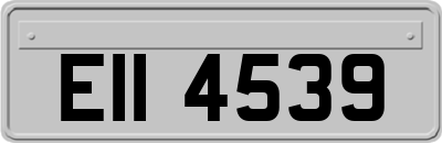 EII4539