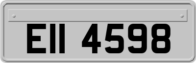 EII4598