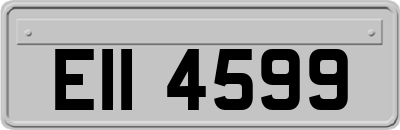EII4599