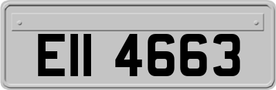 EII4663