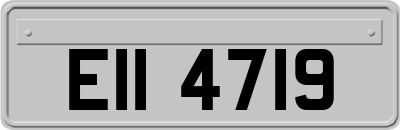 EII4719