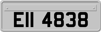 EII4838