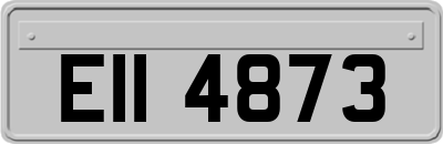 EII4873