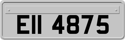 EII4875