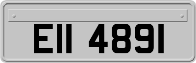 EII4891