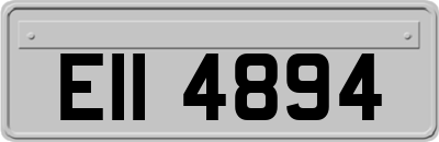 EII4894