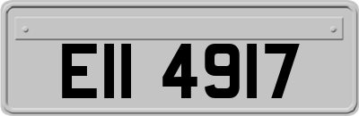 EII4917