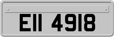 EII4918