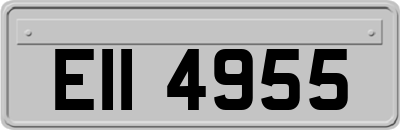 EII4955